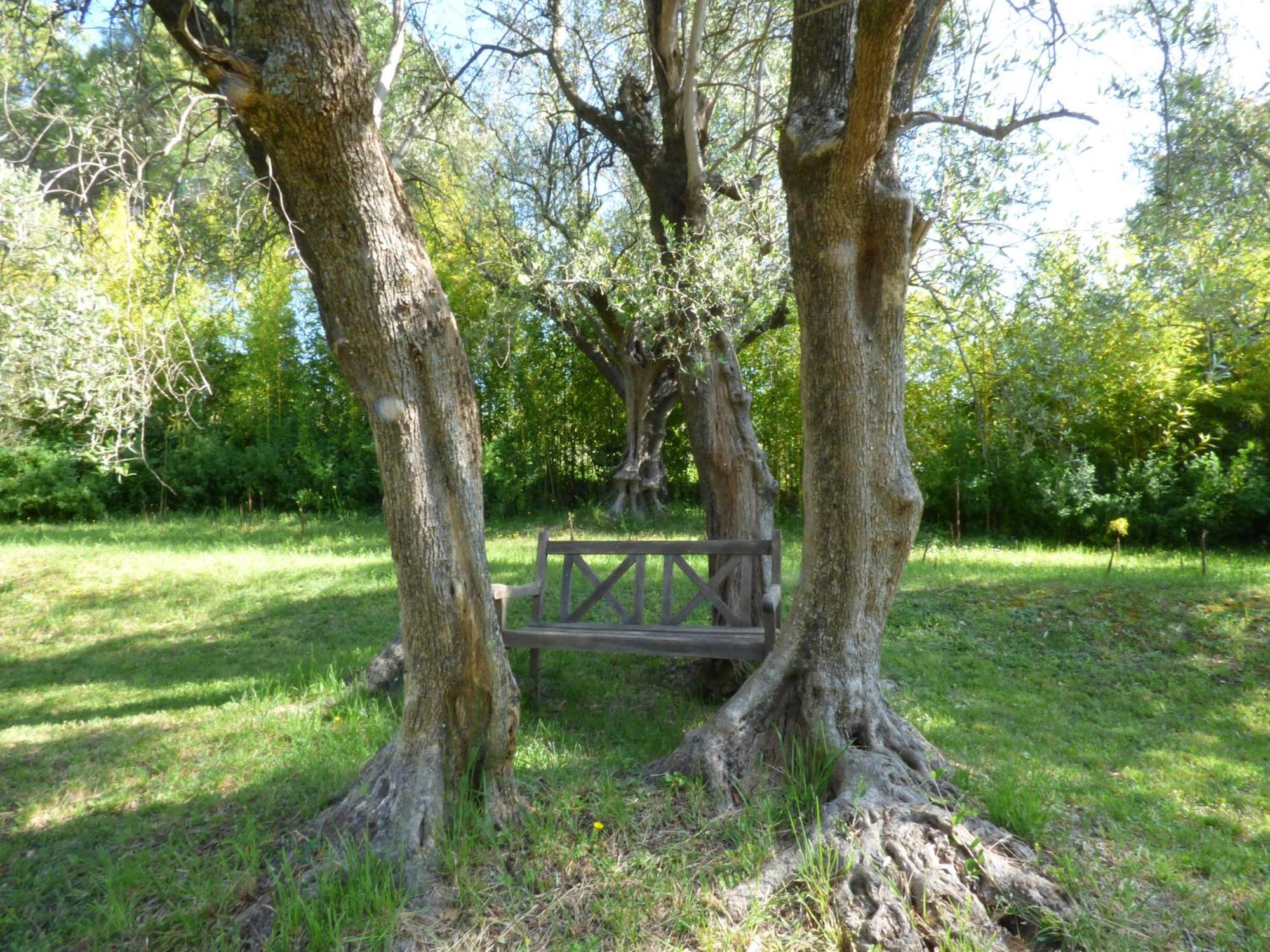 Apartment Cezanne With Heated Pool And Private Garden Chateauneuf-Grasse Eksteriør bilde