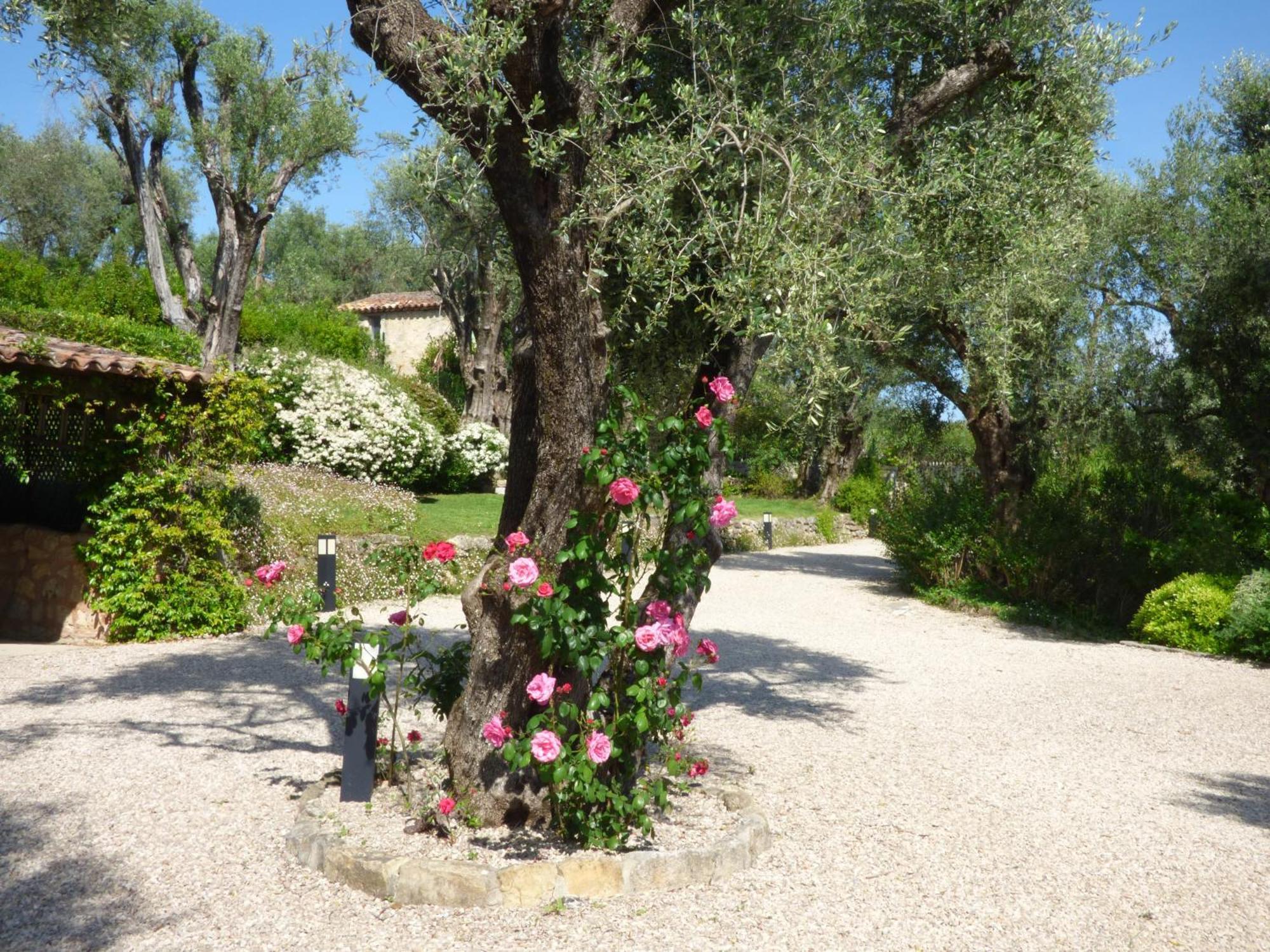 Apartment Cezanne With Heated Pool And Private Garden Chateauneuf-Grasse Eksteriør bilde