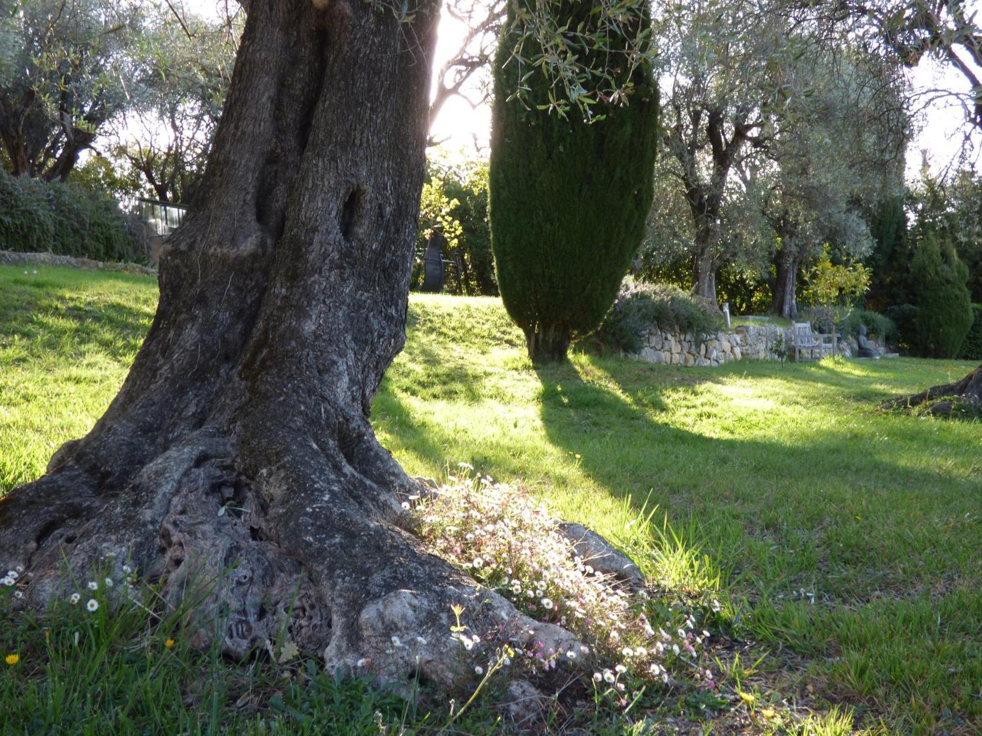 Apartment Cezanne With Heated Pool And Private Garden Chateauneuf-Grasse Eksteriør bilde